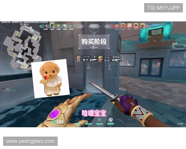 亚星游戏平台多款热门游戏同步上线，满足不同玩家需求