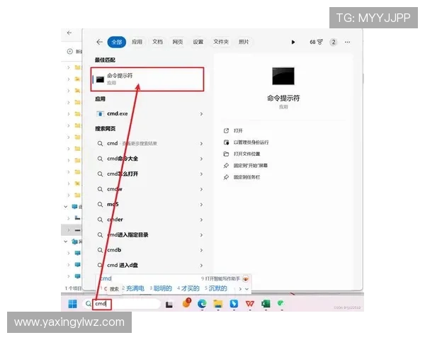 亚星管理平台 cmd3：系统升级与维护操作流程全方位指导
