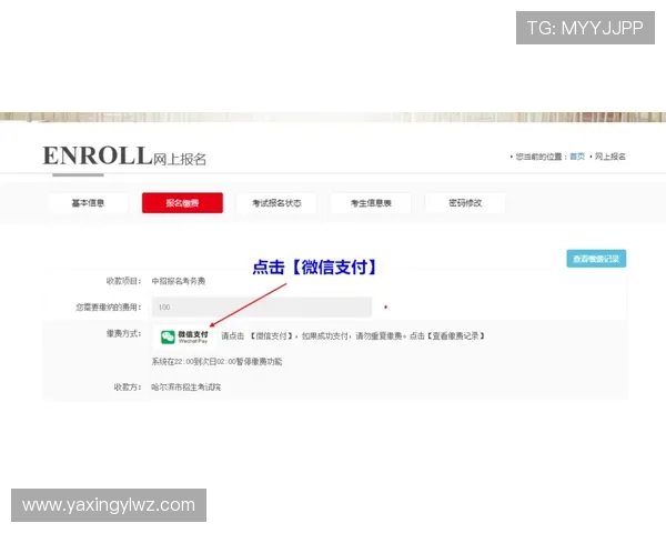 亚星官网登录遇到问题怎么办？详细步骤帮你排查解决登录难题