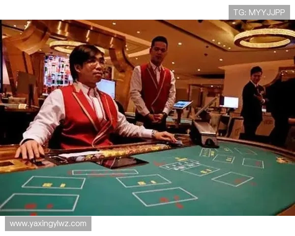 新手必看百家乐玩法攻略帮助你快速入门掌握核心技巧
